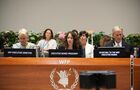 fao comite directo